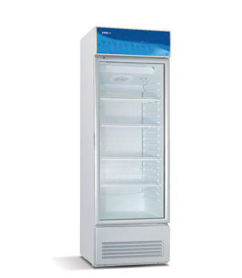 Холодильный шкаф FV 425RS